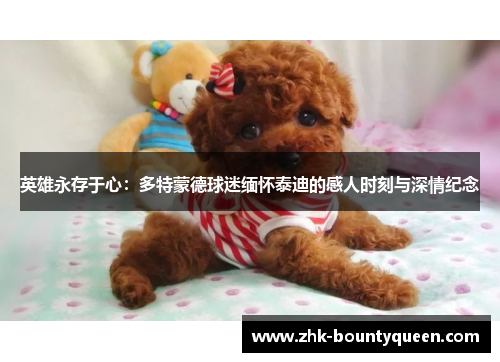 英雄永存于心:多特蒙德球迷缅怀泰迪的感人时刻与深情纪念 英雄永存于心:多特蒙德球迷缅怀泰迪的感人时刻与深情纪念