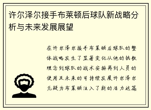 许尔泽尔接手布莱顿后球队新战略分析与未来发展展望 许尔泽尔接手布莱顿后球队新战略分析与未来发展展望
